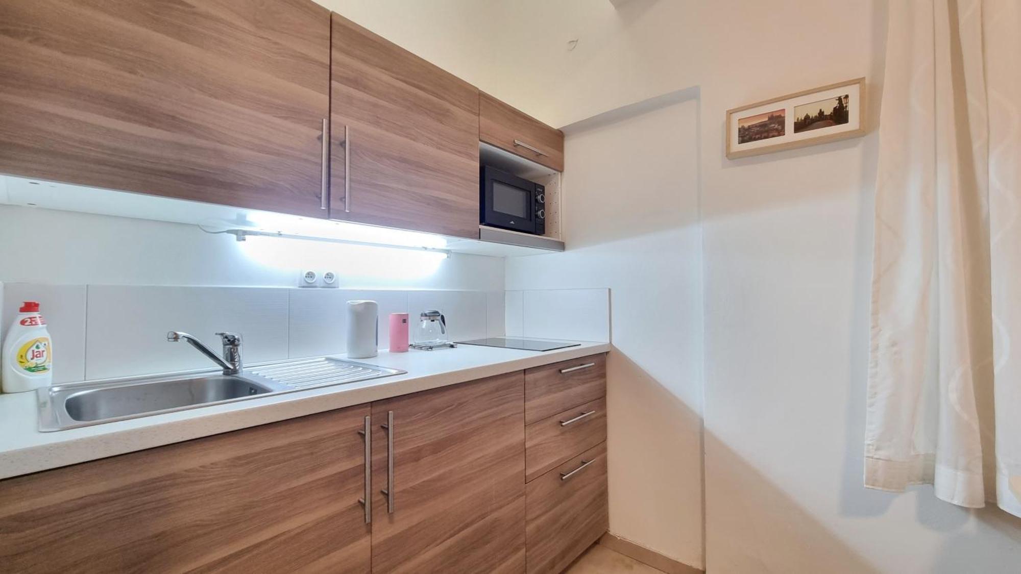 Finnem Rentals Florenc プラハ 部屋 写真