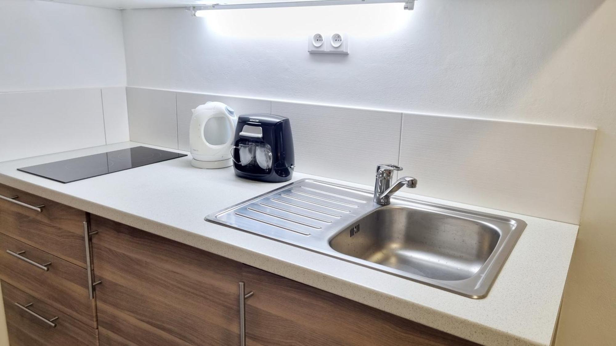 Finnem Rentals Florenc プラハ 部屋 写真